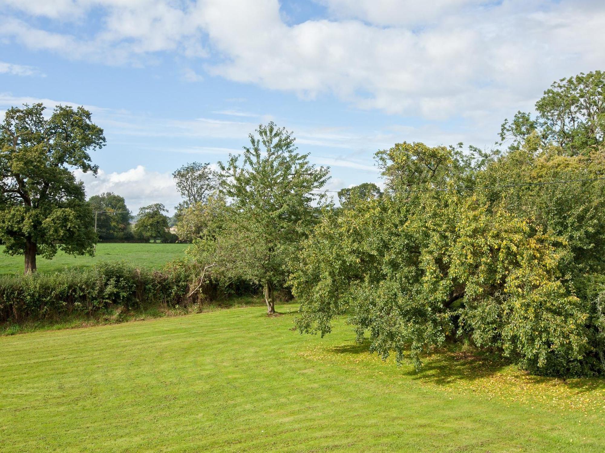 Fir Tree Cottage Standon Bagian luar foto